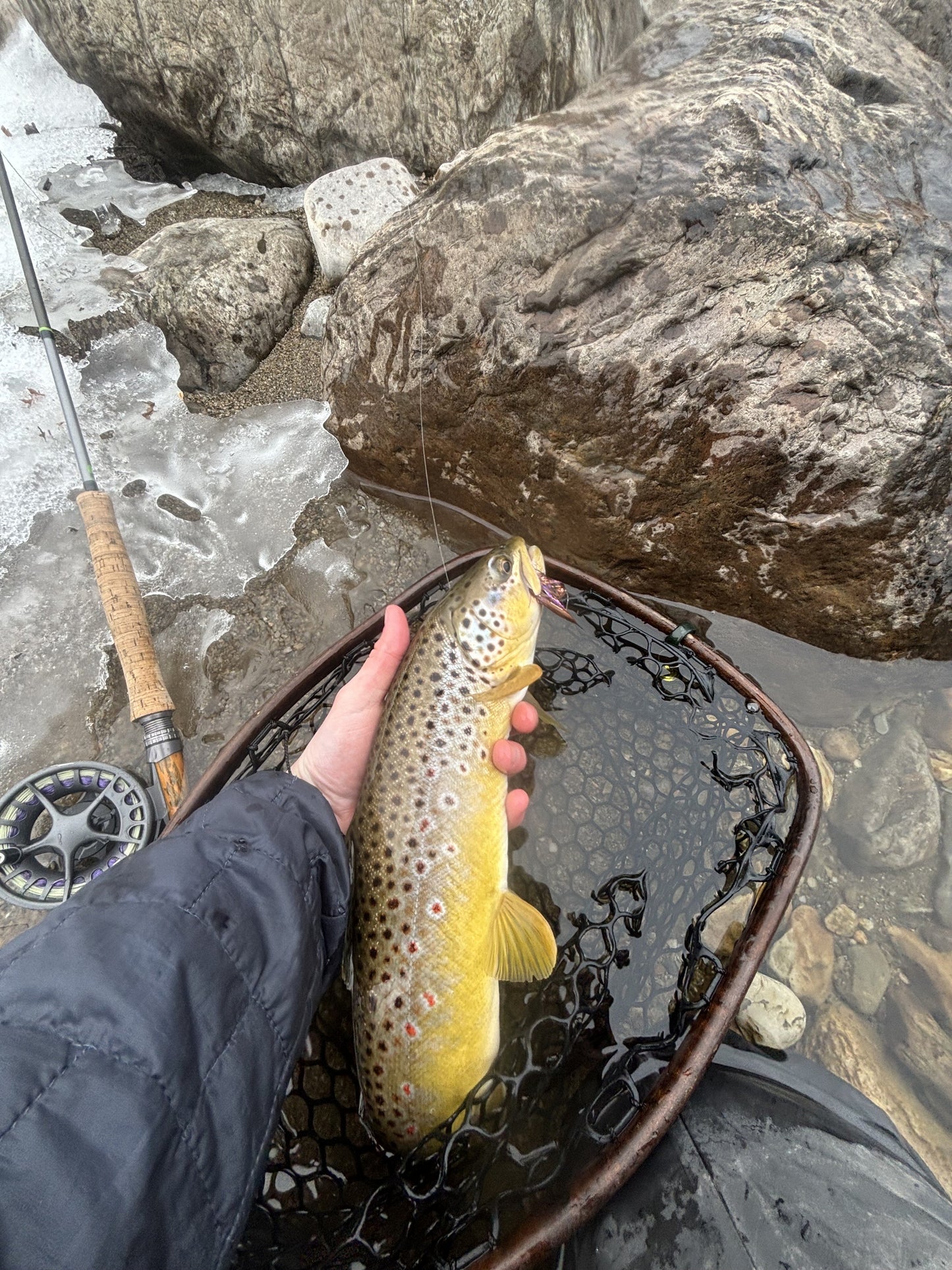 Fishing Report - 1/16/26