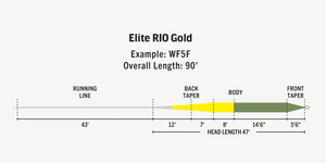 
                  
                    Rio Elite Gold Fly Line
                  
                