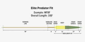 
                  
                    RIO Elite Predator Fly Line
                  
                